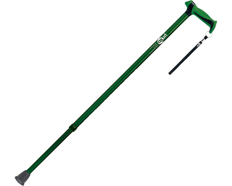 ヒューゴステッキ