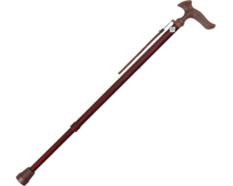 ステッキ　かるがもオム