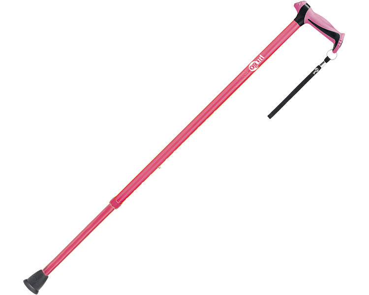 ヒューゴステッキ