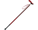 ネオクラシカル　伸縮