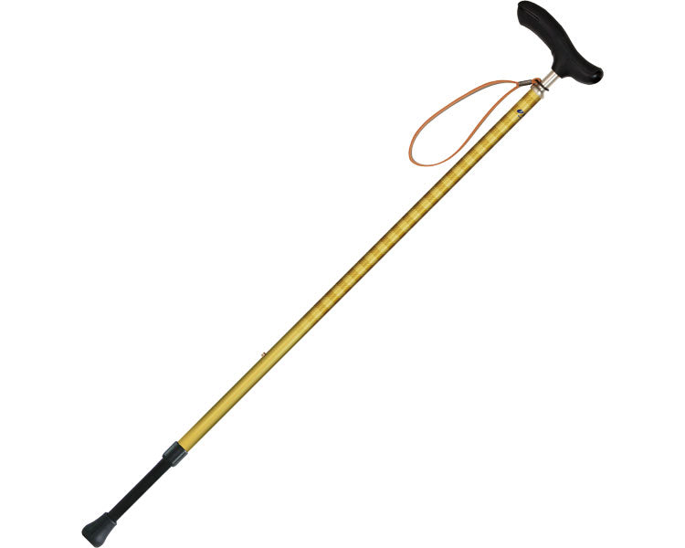 ネオクラシカル　伸縮