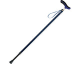 ネオクラシカル　伸縮