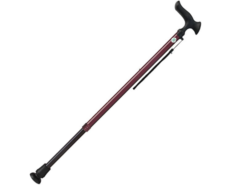 かるがもE22　伸縮